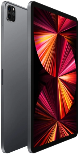 Планшет Apple iPad Pro (2021) A2459 11" Wi-Fi + Cellular 8C/128Gb Grey Планшеты Apple купить в Барнауле фото 2