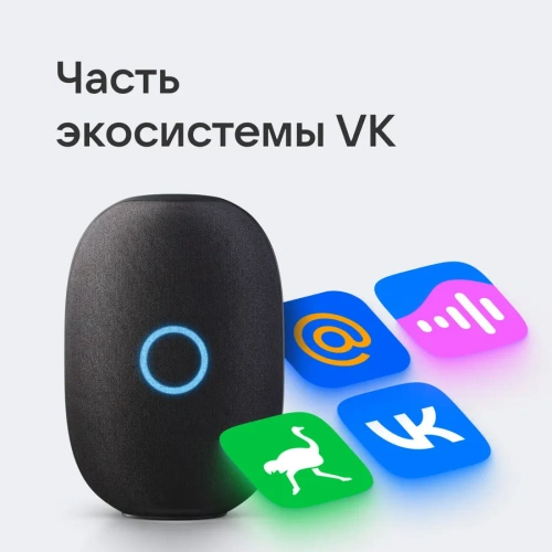 Колонка VK капсула MRC01 черная Умные колонки VK и MailRu купить в Барнауле фото 6